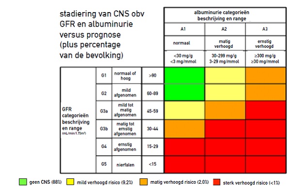 Chronische nierschade