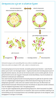 Griepvaccin deze figuur.jpg