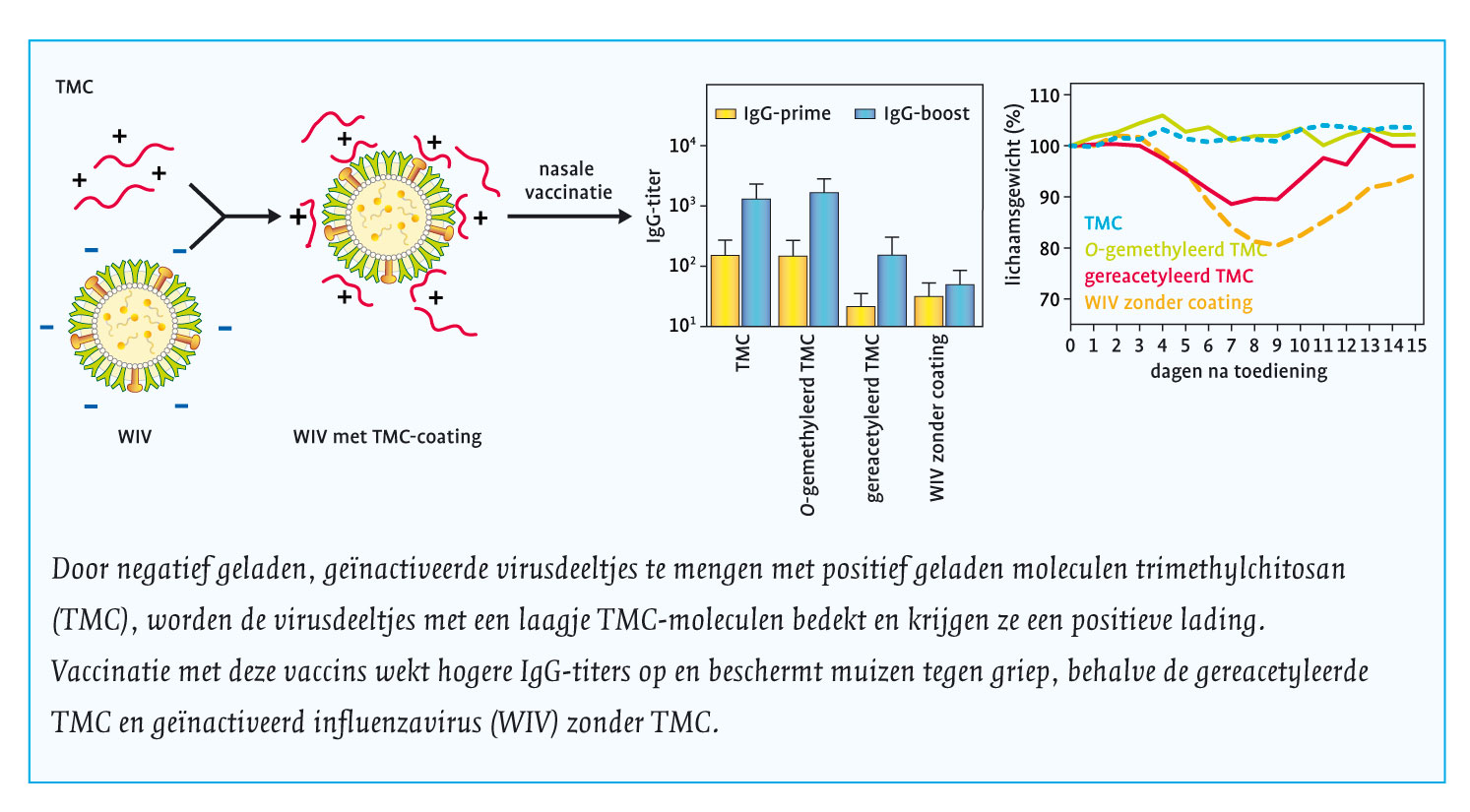 pw42 griepvaccin figuur TMC.jpg