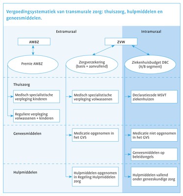 transmuraal