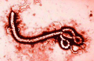 Janssen komt in mei met vaccin tegen ebola