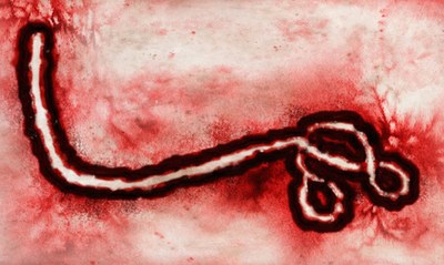 Vaccin tegen huidige variant ebolavirus