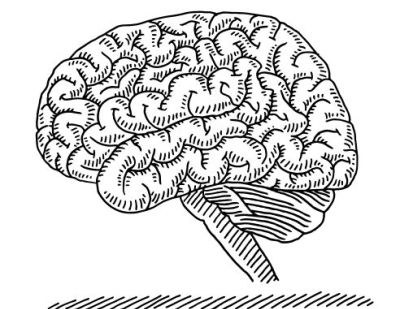 Langer effect Ritalin bij kinderen dan bij volwassenen  