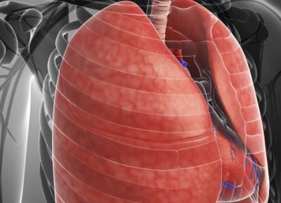 Mannitol soms gunstig bij CF