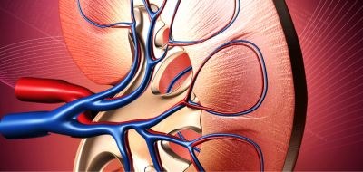 Nieuwe nier: bepaling dosis voriconazol