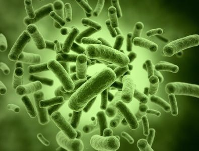 Bruins gaat strijd opvoeren tegen antibioticaresistentie