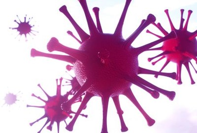 Monoklonale antilichamen verminderen coronavirusdeeltjes