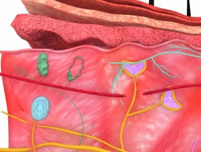 Schilfering door gebruik metronidazol-gel