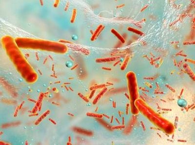 Microbioloog ontdekt mogelijk nieuwe klasse antibiotica