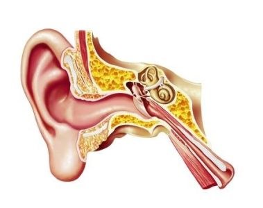 Lareb: oorsuizen mogelijke bijwerking van tramadol 