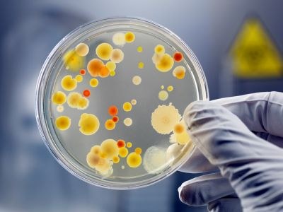 Link tussen resistentie en antibioticagebruik mens en dier
