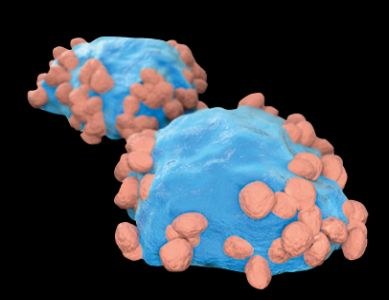 Risico door mogelijk beschadigde capsules lenalidomide Mylan